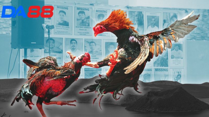 Danh mục các sản phẩm đá gà nổi bật nhất từ nhà cái DA88 