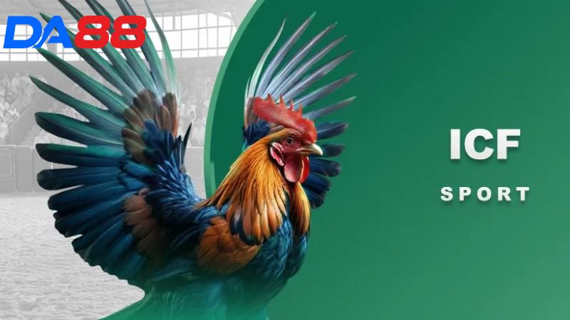 Hướng dẫn các quy trình tham gia cá cược đá gà DA88 cho người mới 