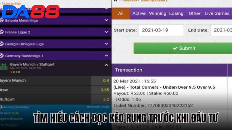 Hướng dẫn cách đọc cược rung dễ hiểu cho người mới